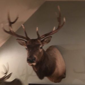 Meet your Posher, Parker